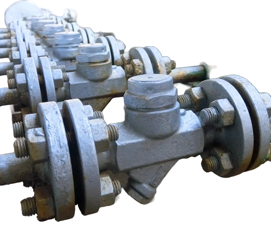 Steam Trap Assemblies: Thermodynamic & Float Type — Valves, Gaskets & Steam System Products
